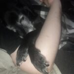 Ťapík – fotografie 31