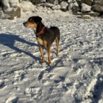 Žofka – fotografie 31