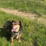 Žolík – fotografie 24