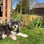 Addy – fotografie 34