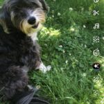 Addy – fotografie 35