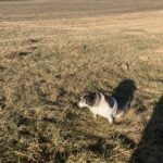 Kala – fotografie 24