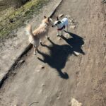 Kulíšek – fotografie 31