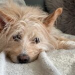 Kulíšek – fotografie 32