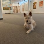 Kulíšek – fotografie 33