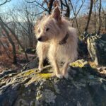 Kulíšek – fotografie 34