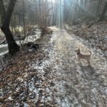 Kulíšek – fotografie 35