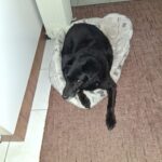 Šmudl – fotografie 21