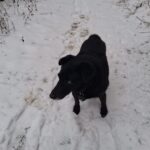 Šmudl – fotografie 22