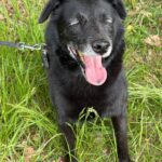 Šmudl – fotografie 23