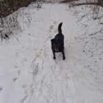 Šmudl – fotografie 24