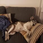 Karlička – fotografie 29