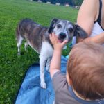 Karlička – fotografie 31