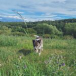 Kevin – fotografie 19