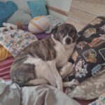 Kevin – fotografie 20