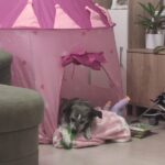 Kulička – fotografie 28