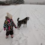 Kulička – fotografie 29