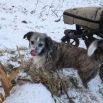 Kulička – fotografie 30