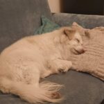 Žoldík – fotografie 22