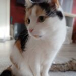 Olinka – fotografie 16