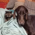 Richie – fotografie 23