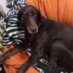 Richie – fotografie 26