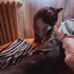 Richie – fotografie 25