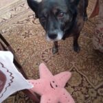 Básty – fotografie 20