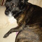 Básty – fotografie 21