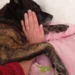 Básty – fotografie 22