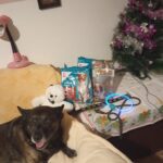 Básty – fotografie 23