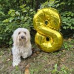 Charlie – fotografie 38