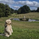 Charlie – fotografie 39