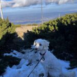 Chloe – fotografie 38