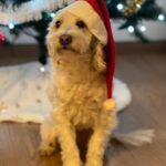 Chloe – fotografie 40