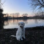 Chloe – fotografie 42