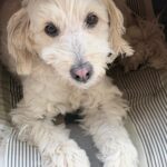 Chloe – fotografie 44