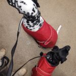 Barka – fotografie 24