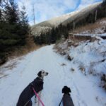 Barka – fotografie 26