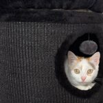 Ťapinka – fotografie 20