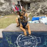 Breck – fotografie 36