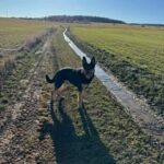 Bubáček – fotografie 16