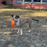 Emma – fotografie 28