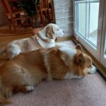 Nick – fotografie 17