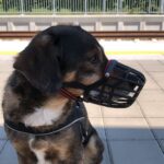 Kenny – fotografie 40