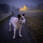 Rumcajs – fotografie 24