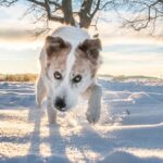 Rumcajs – fotografie 26