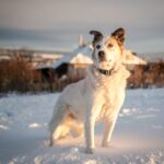 Rumcajs – fotografie 27