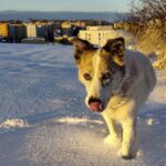 Rumcajs – fotografie 28