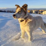 Rumcajs – fotografie 29